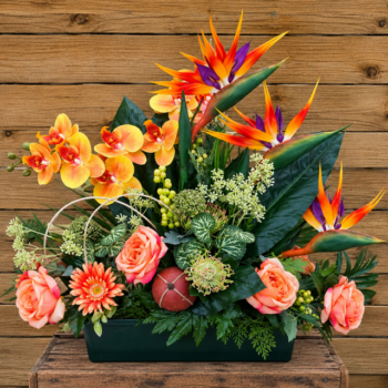 Jardinière Strélizias
