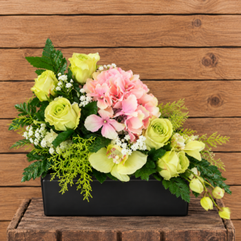 Rectangle Hortensia