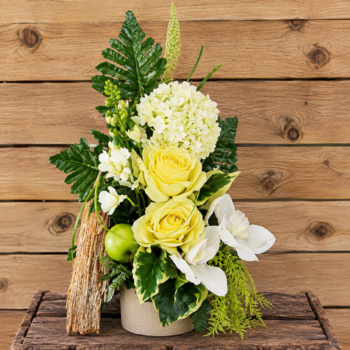 Carré Roses