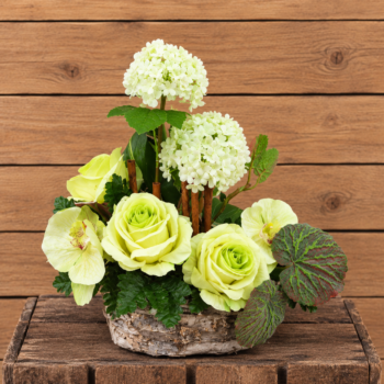 Panier Roses/Cannelle