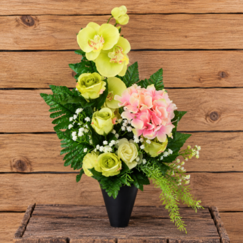 Cône Hortensia