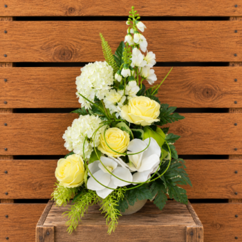 Rond Roses